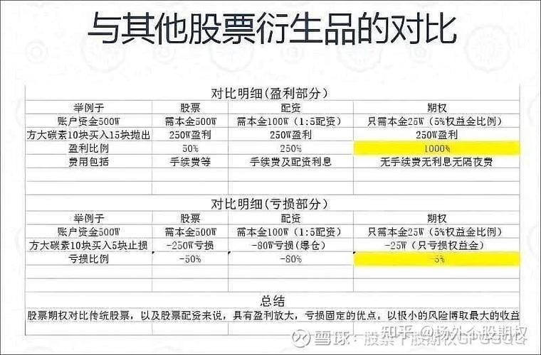 股票配资是什么意思啊_股票期权入门指南_期权交易风险控制